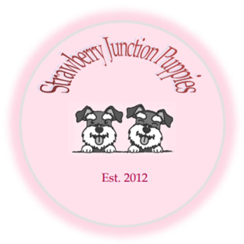 Strawberry Junction Puppies-Wakarusa IN - Logo