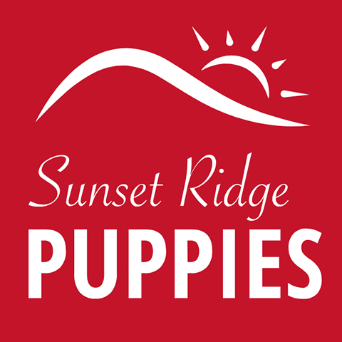 Sunset Ridge Puppies-Boyceville WI - Logo