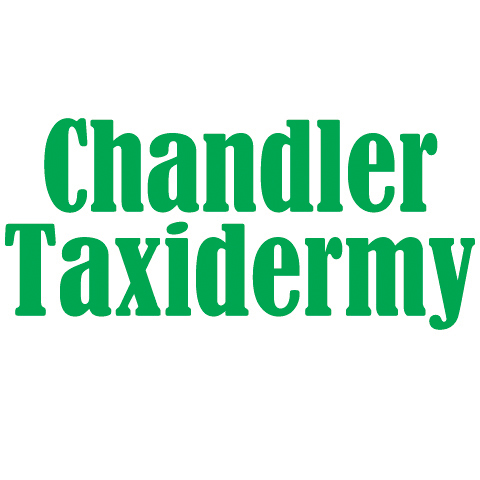 Chandler Taxidermy-Centerville TN - Logo