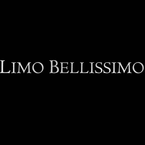 Limo Bellissimo-Tinley Park IL - Logo